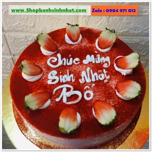Bánh Sinh Nhật Tiramisu - T318